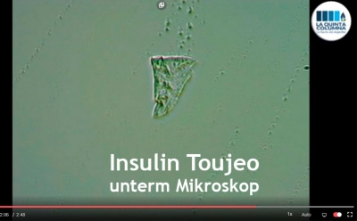Insulin Toujeo unterm Mikroskop