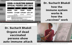 Dr. Sucharit Bhakdi: organs of dead vaccinated show auto immune attack