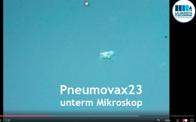 Pneumovax23 unterm Mikroskop